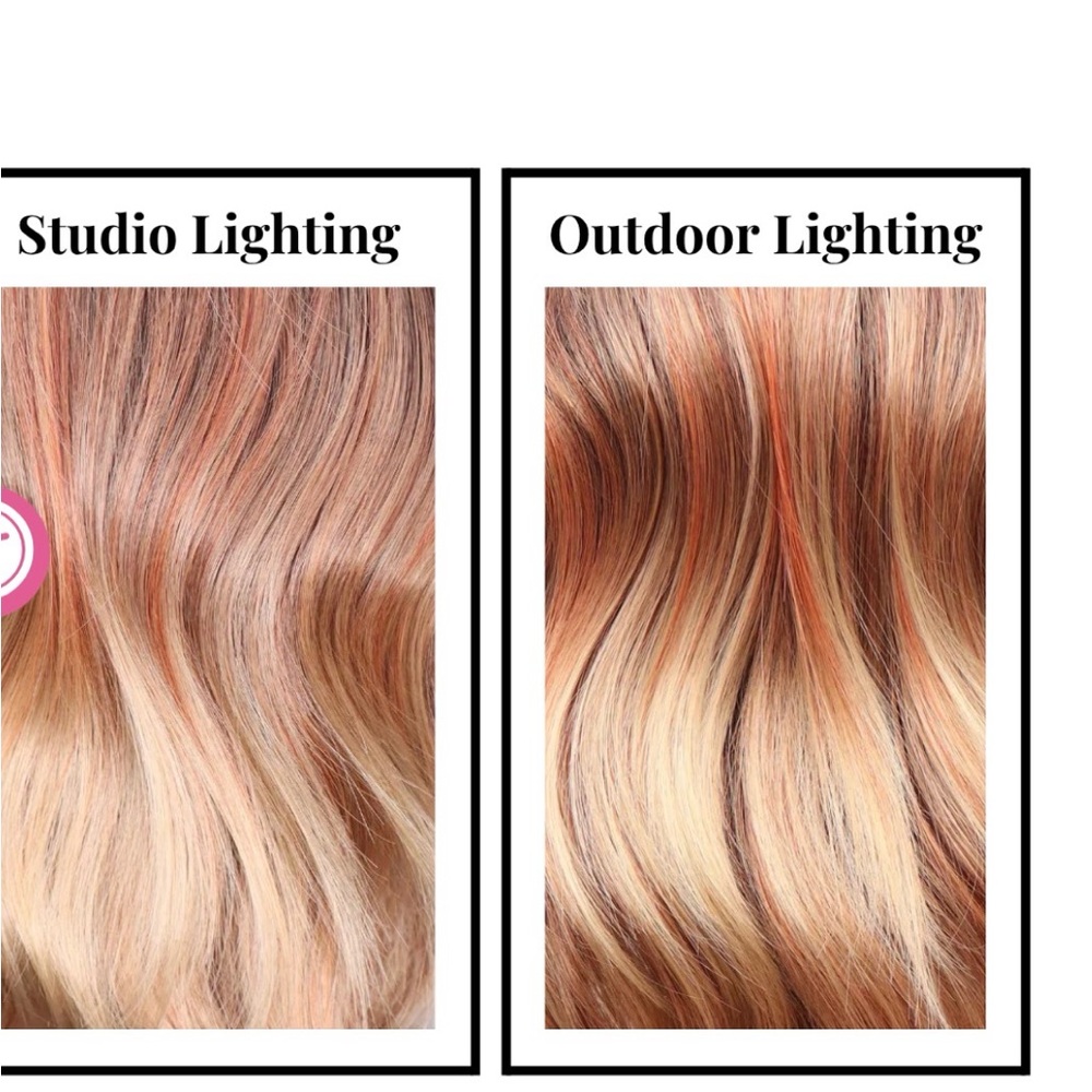 CSC Shiloh (Pumpkin Spice) - Picture 7 of 7